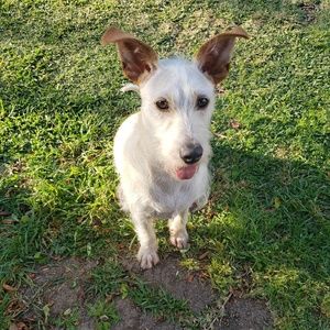 Meet your Posher, Sam